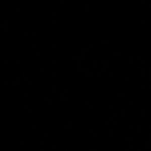 Meet your Posher, Jayden